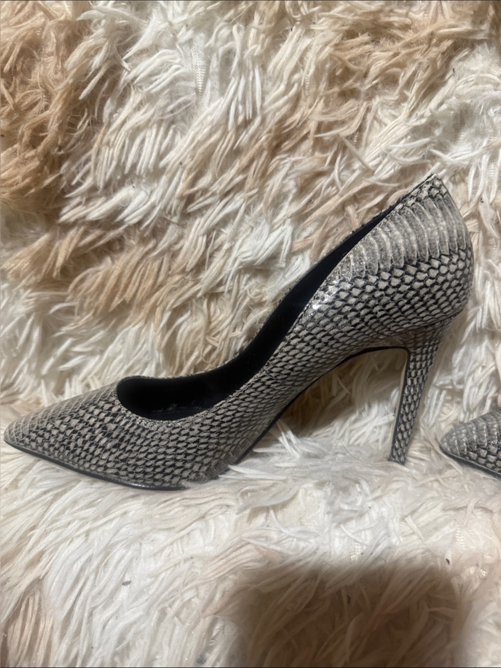 Aldo Snake-Print Pointed Toe Stiletto Pumps - Cream/Black